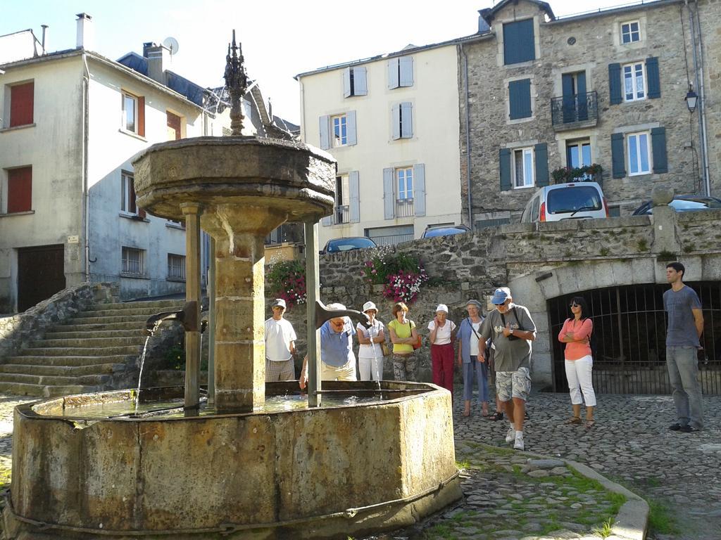 Gite "Les Hortensias" Au Coeur De Lacaune Exterior foto
